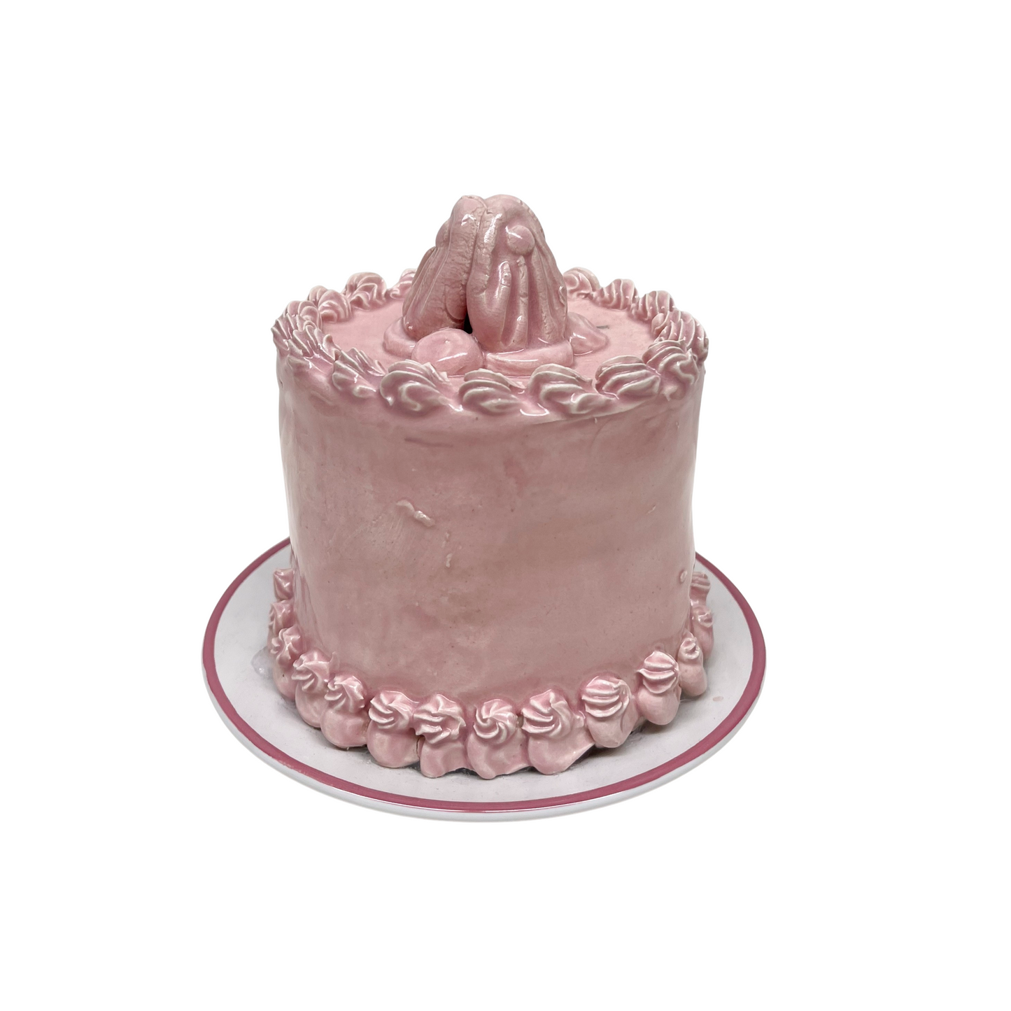 Plated Pink Petite Cake 3