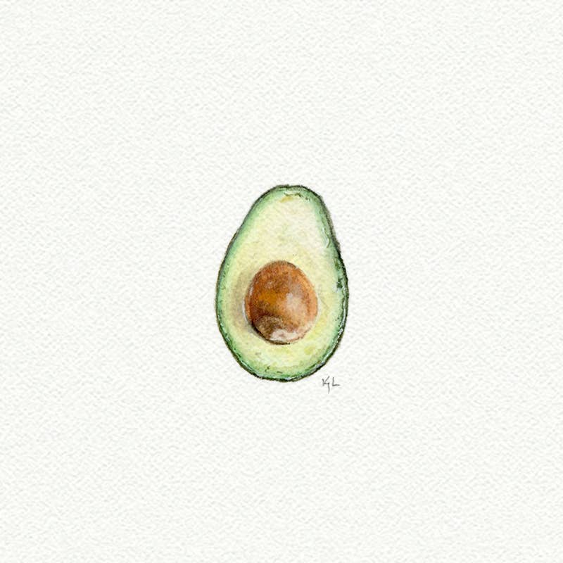 Avocado Miniature Watercolor Print