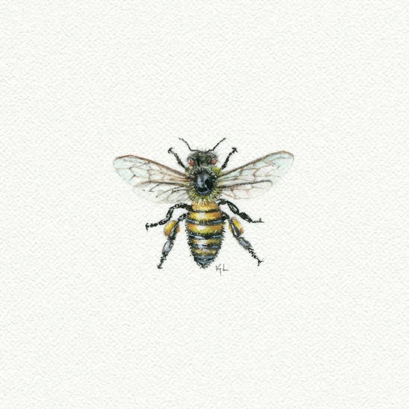 Bee Miniature Watercolor Print