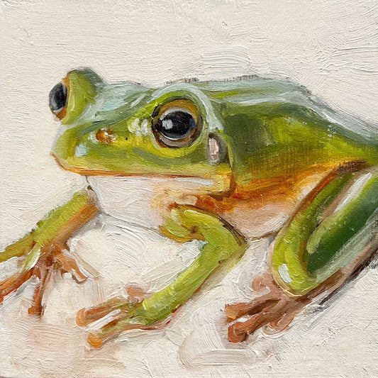 Color Block 58 - Frog