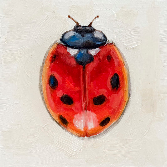 Lady Bug II