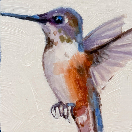 Hummingbird With Blue