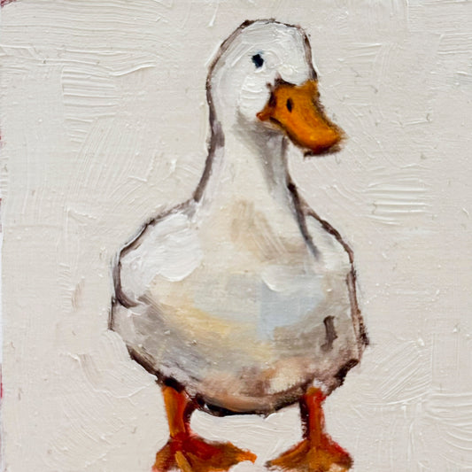 White Duck