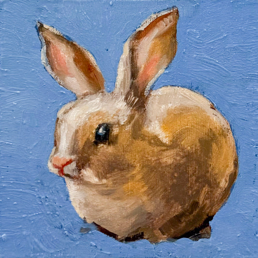 Rabbit