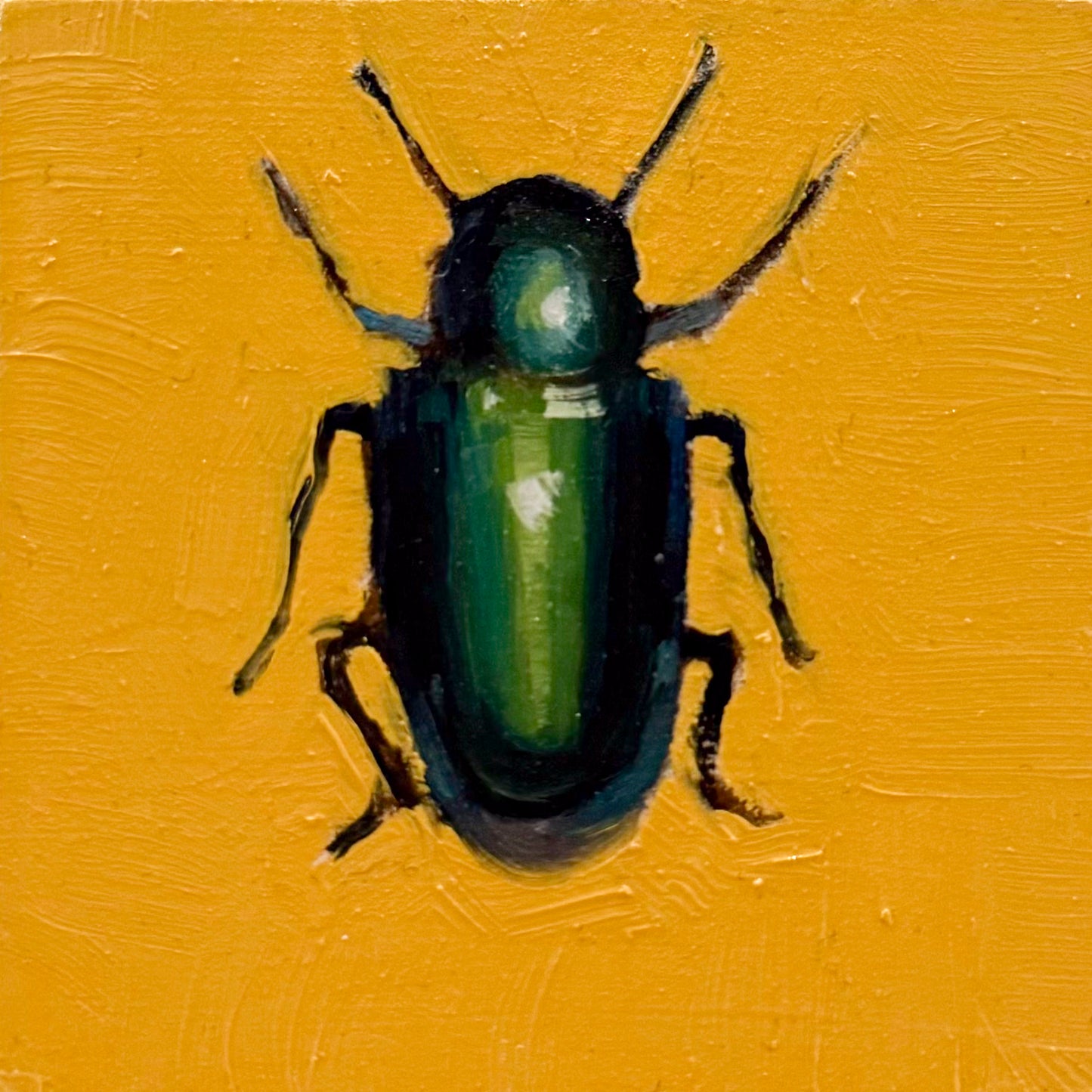 Green Beetle