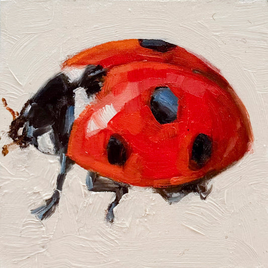 Ladybug