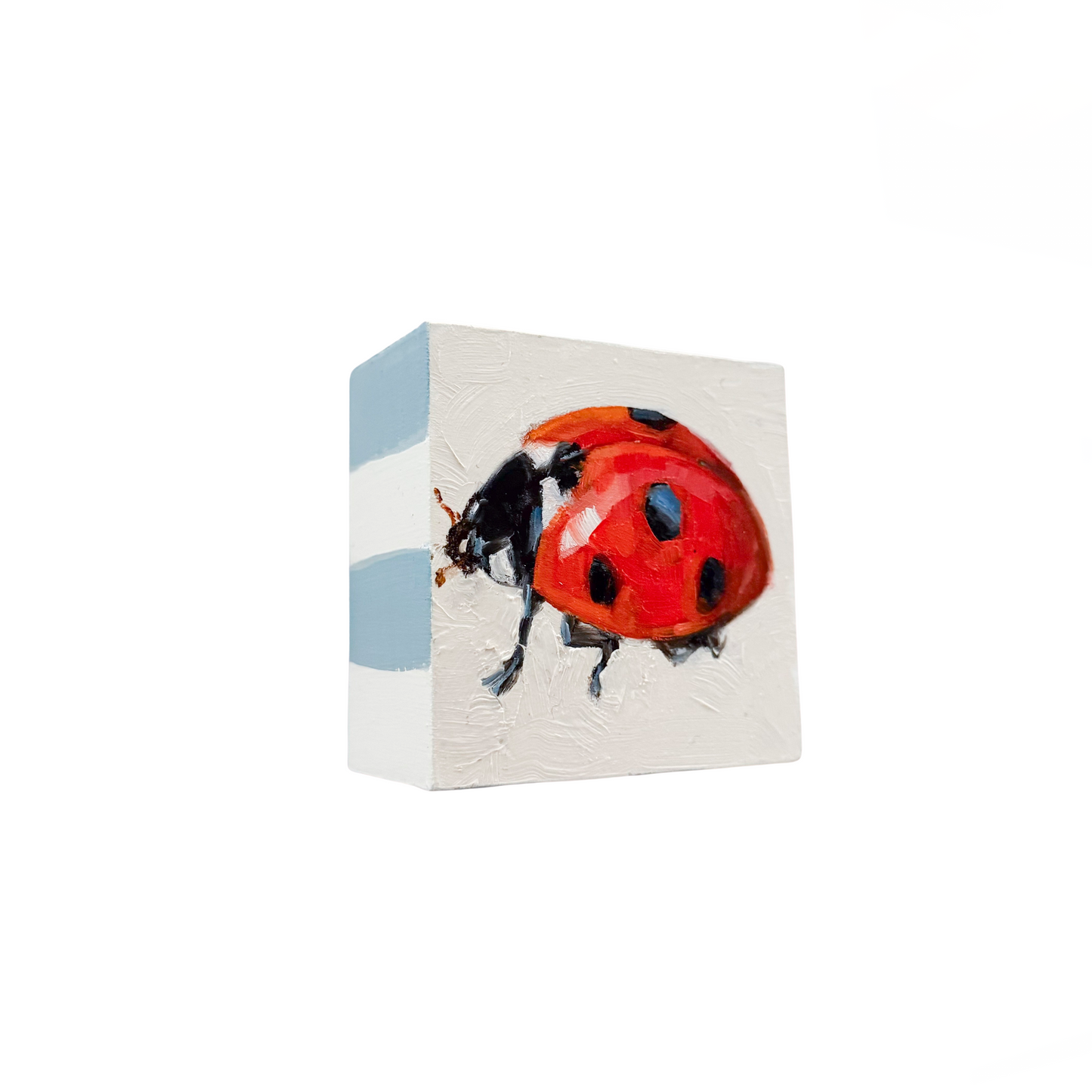 Ladybug