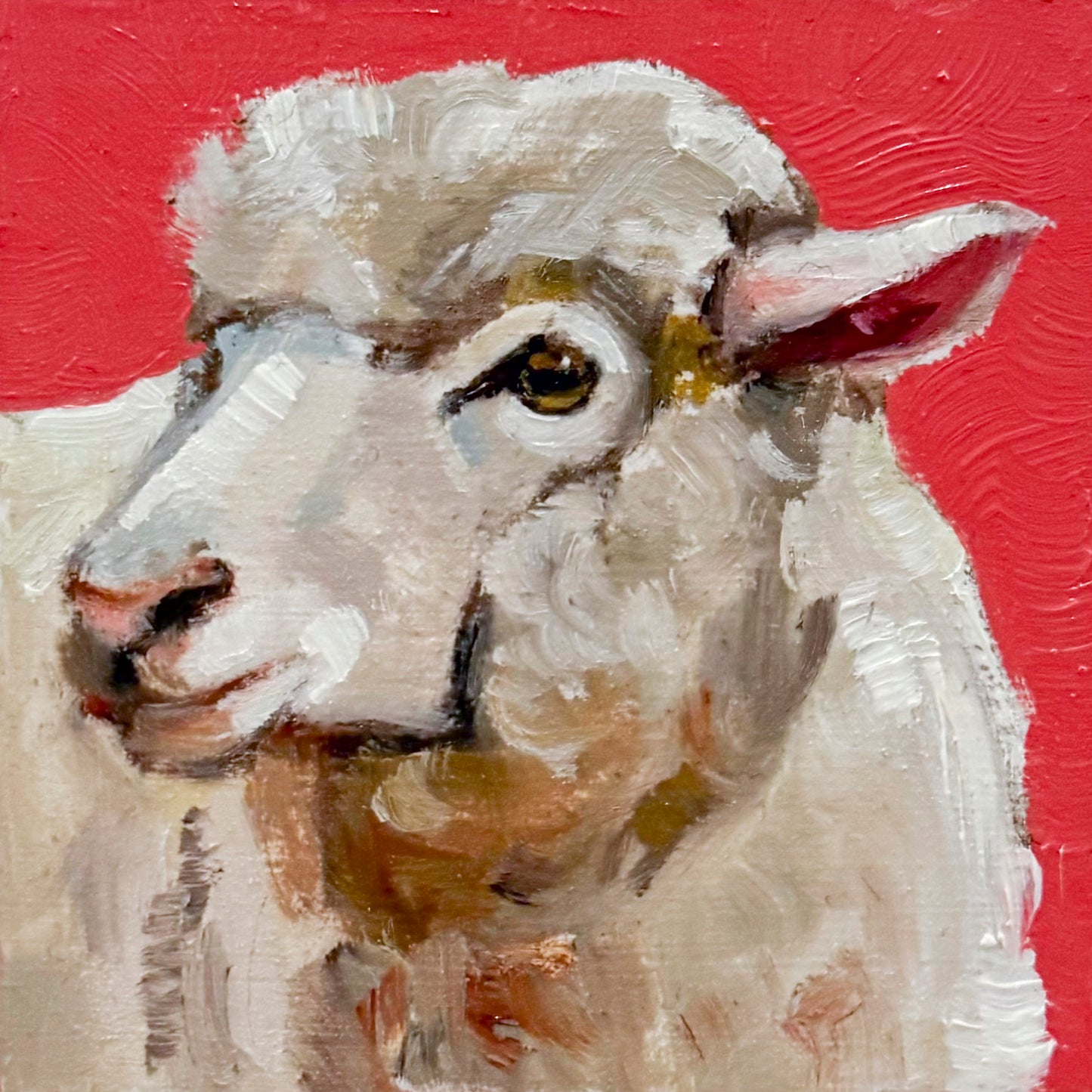 White Sheep II