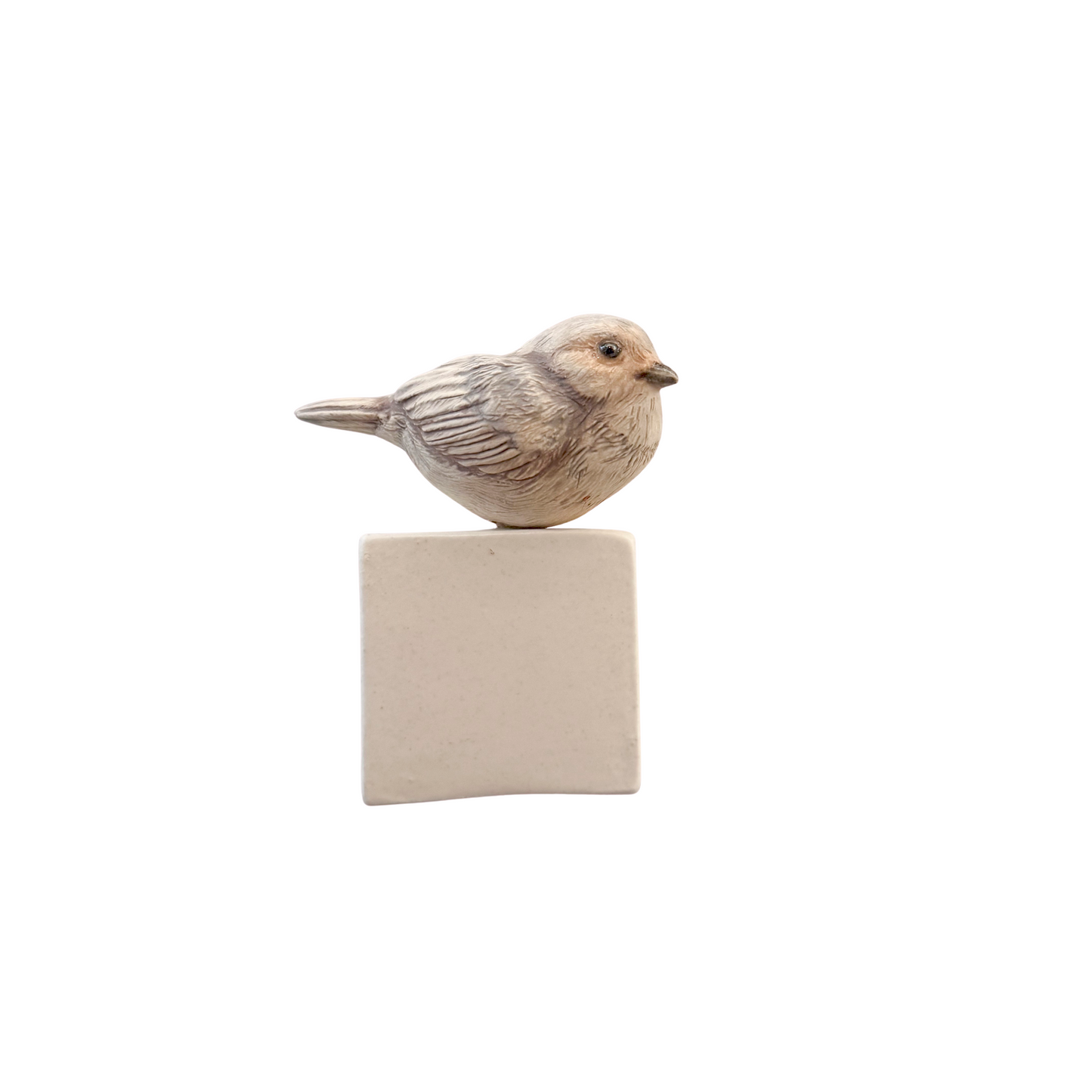 Bushtit 15