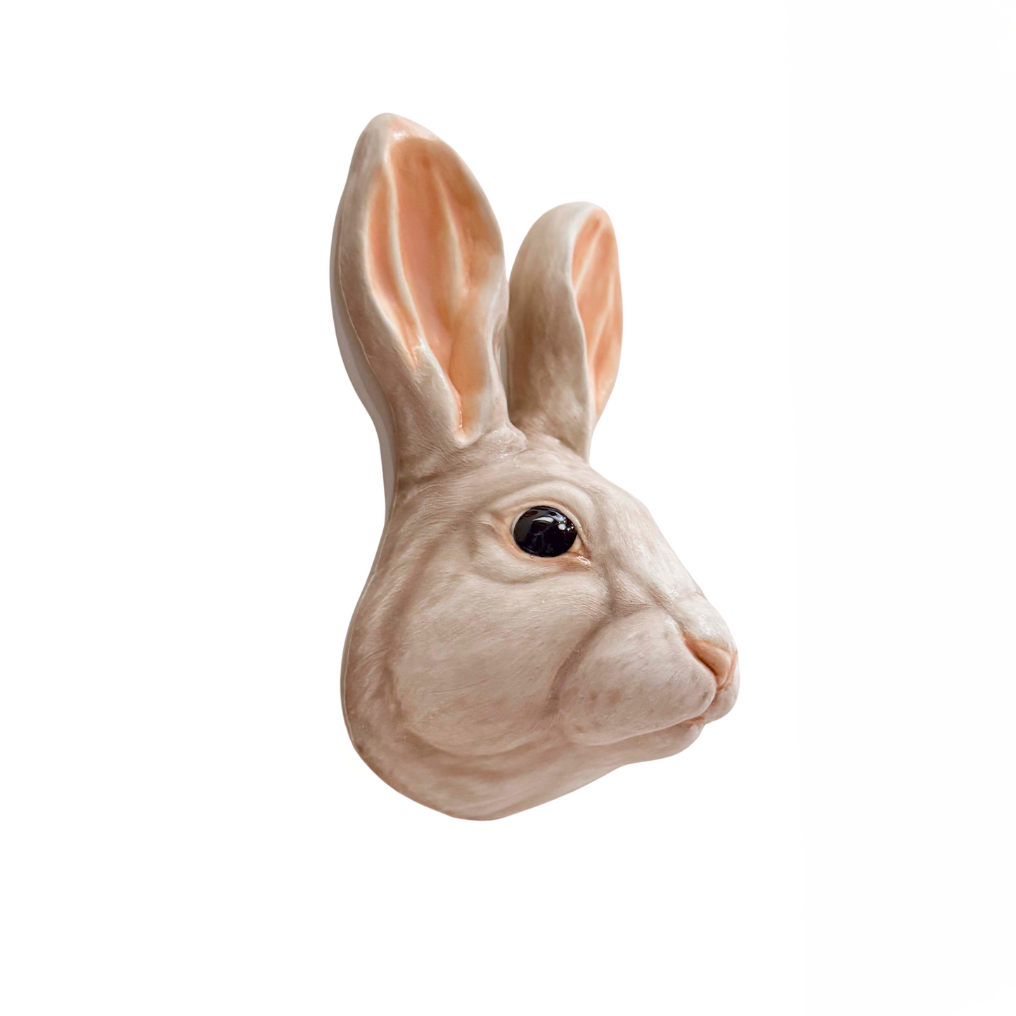 Rabbit 18