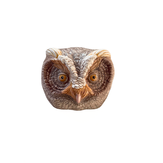 Flammulated Owl 36