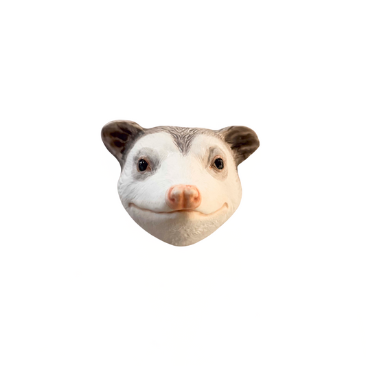 Opossum 4