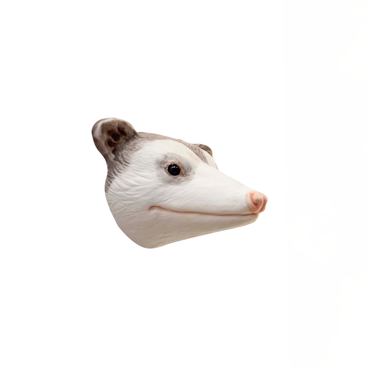 Opossum 4