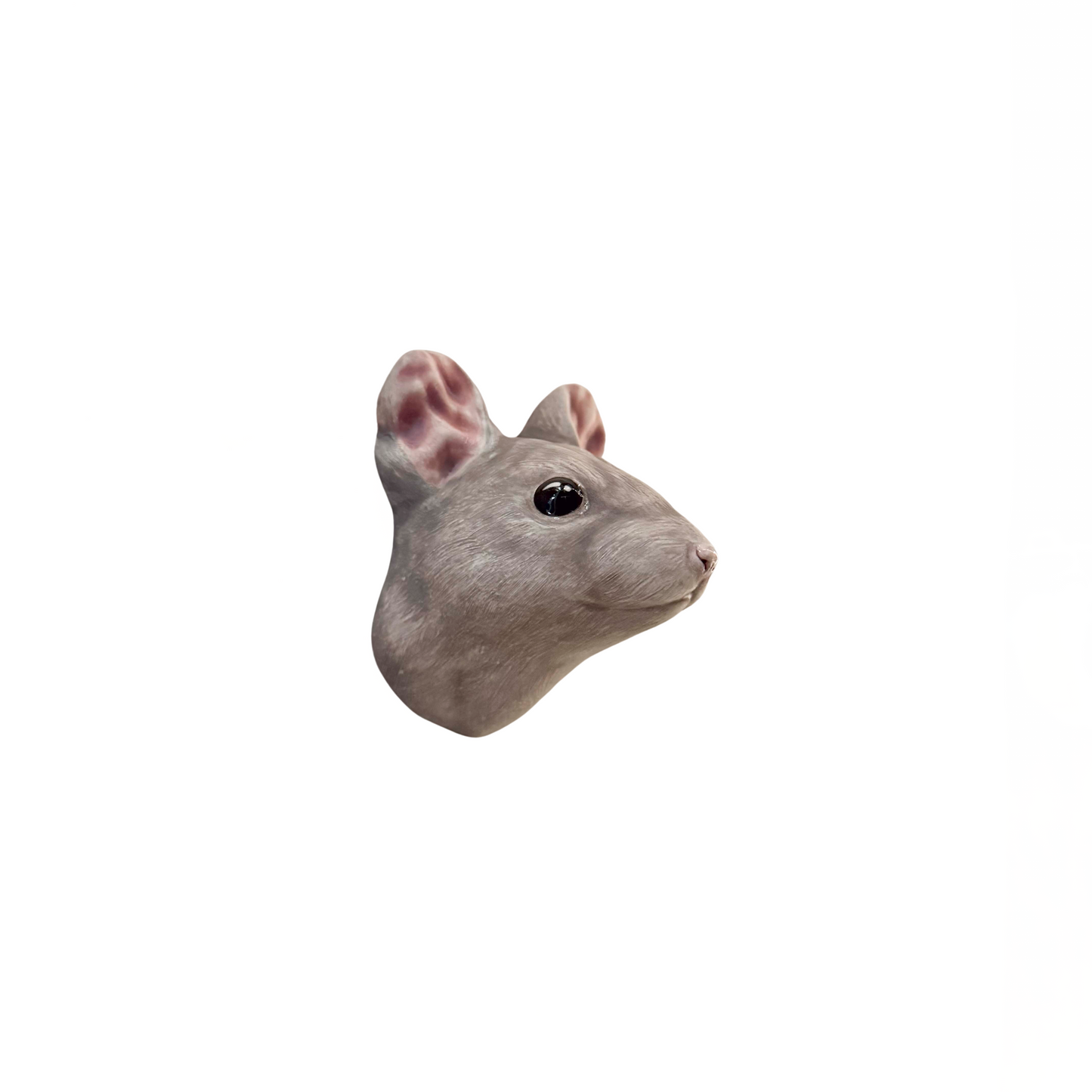 Mouse 53