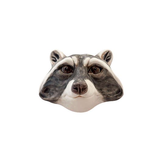 Raccoon 11