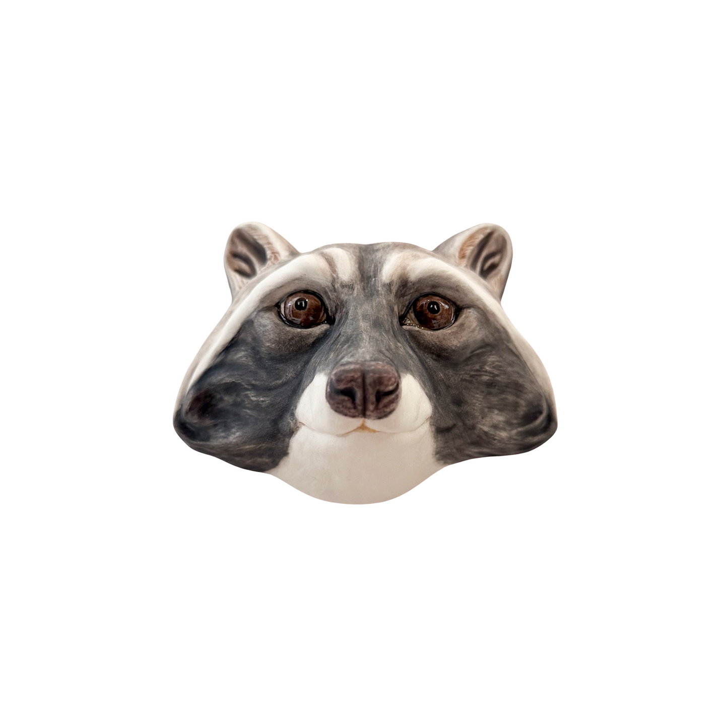 Raccoon 10