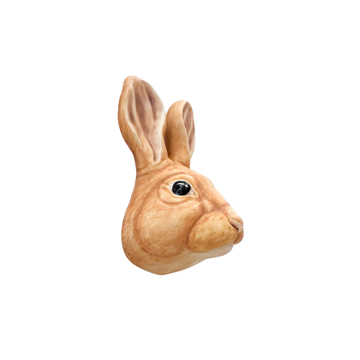 Rabbit 12