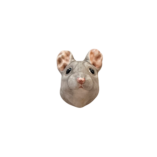 Mouse 35