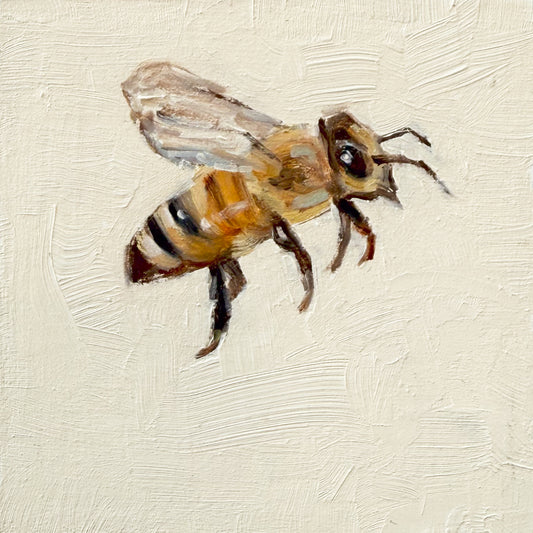 Honey Bee