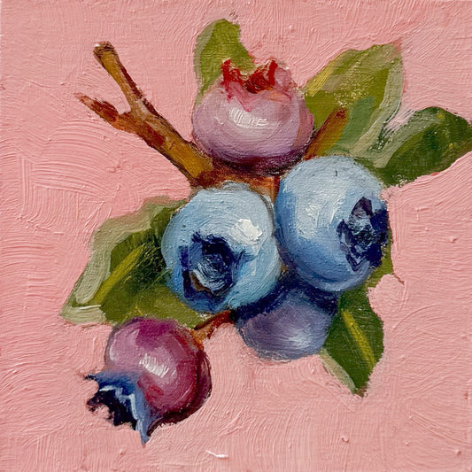 Blueberries on Pink