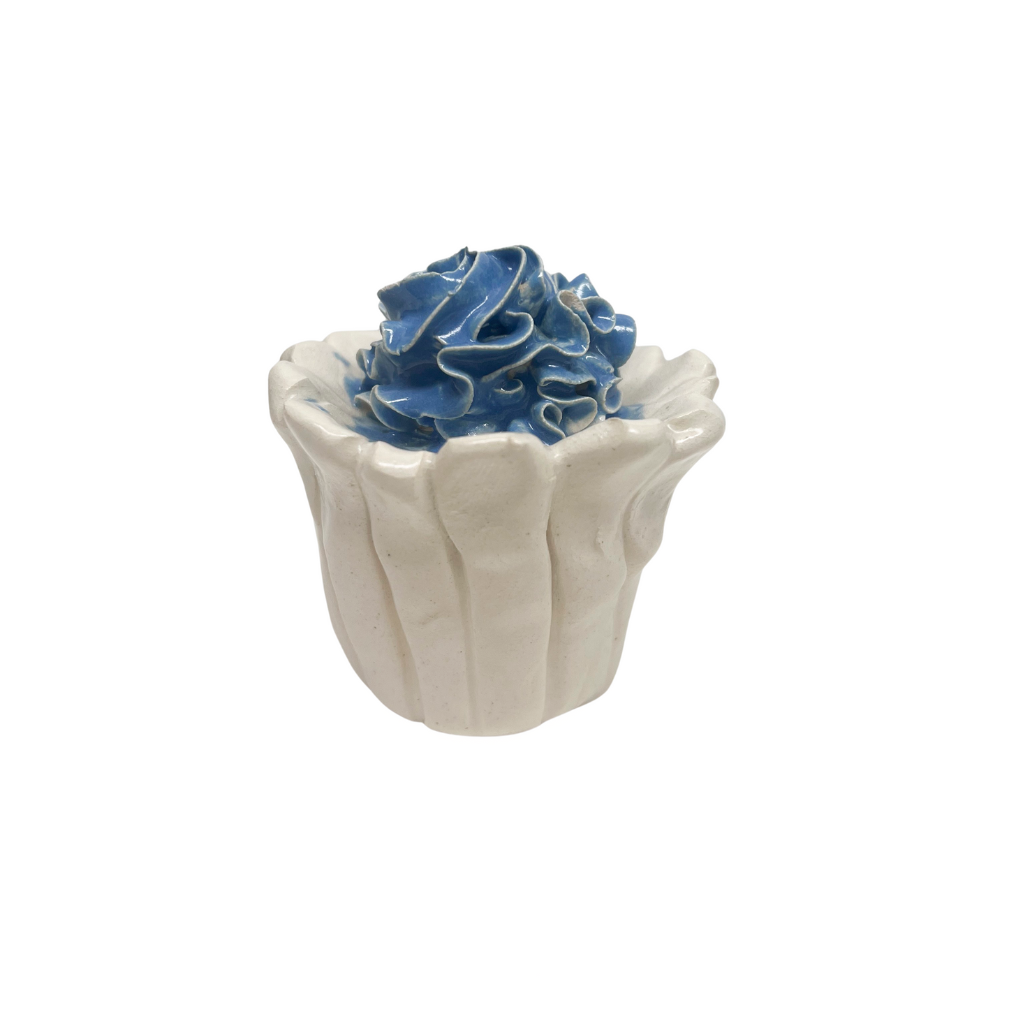 White Cupcake With Blue Frosting