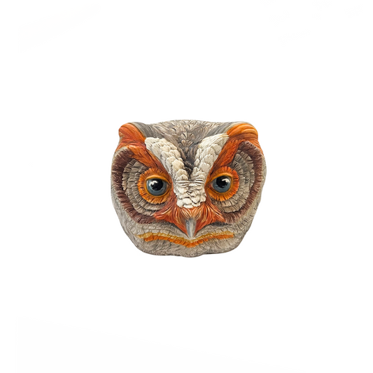 Flammulated Owl 35