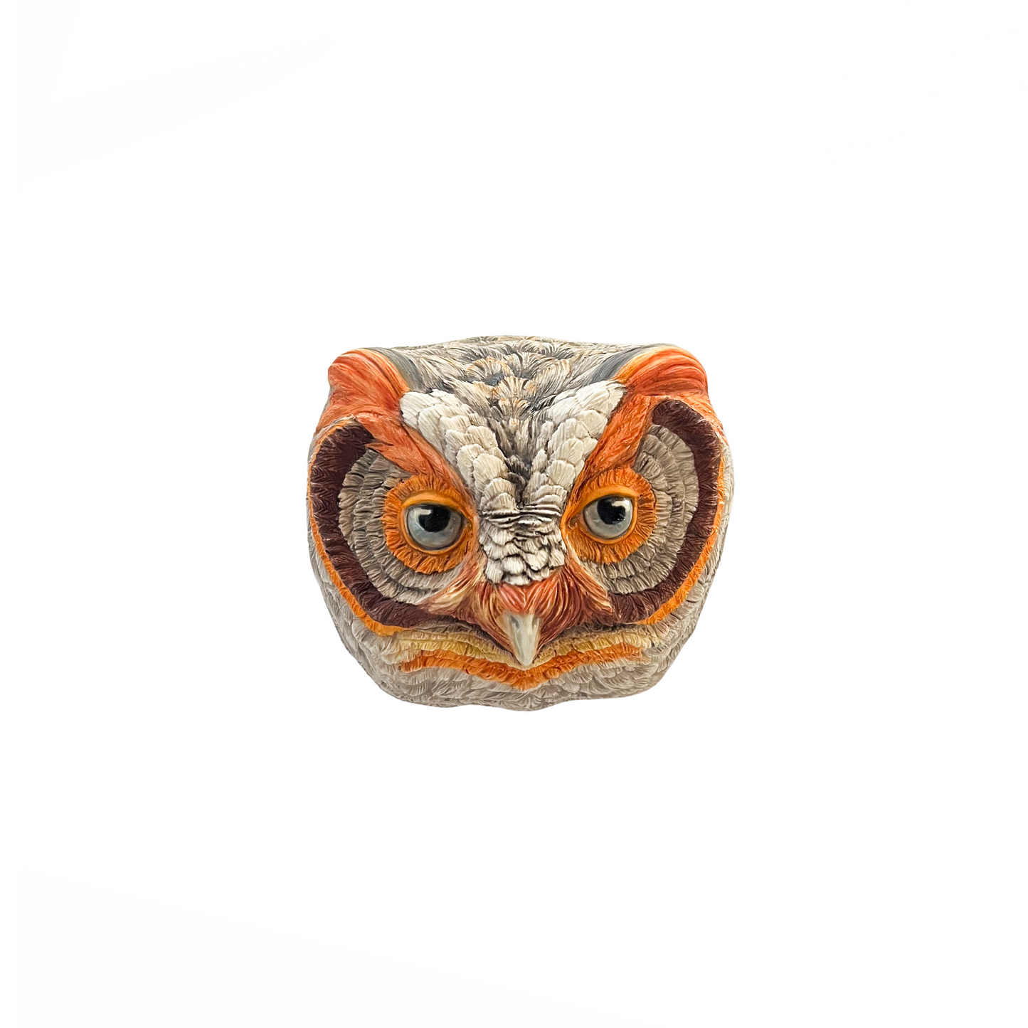 Flammulated Owl 34