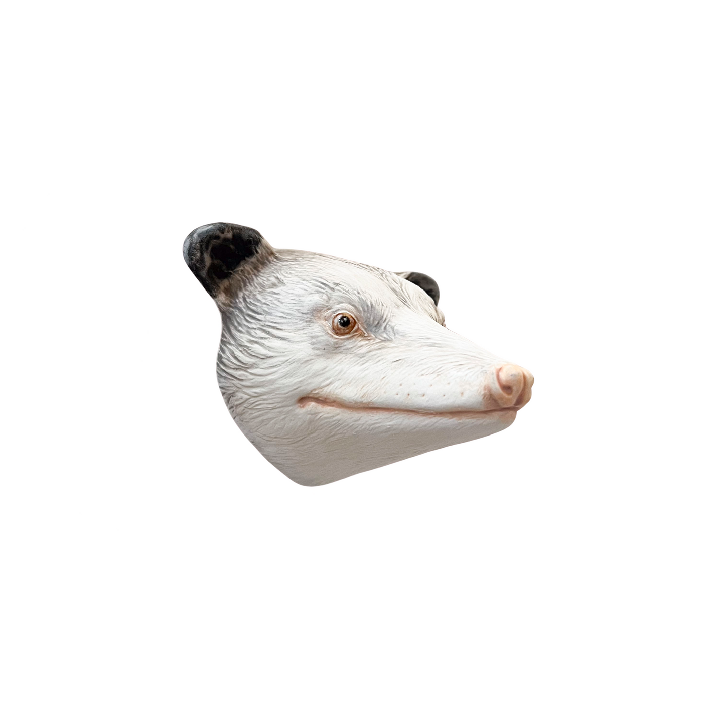 Opossum 51