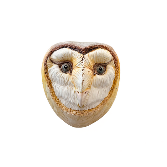 Owl 52